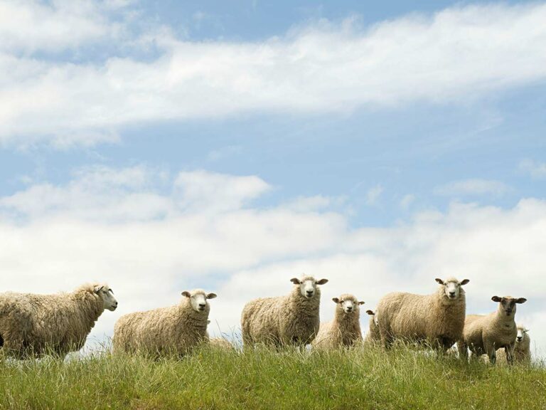 Agricultural - Book a Valuation at Durrants Estate Agents