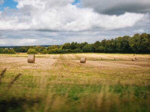 Eye Area Guide for Durrants Estate Agents