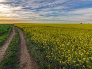 Hoxne Area Guide for Durrants Estate Agents