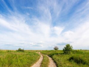 Metfield Area Guide for Durrants Estate Agents