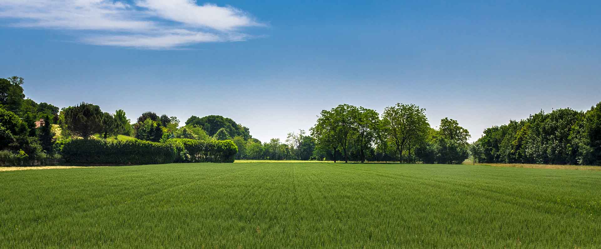 Commercial - Marketing Your Commercial Property and Land at Durrants Estate Agents