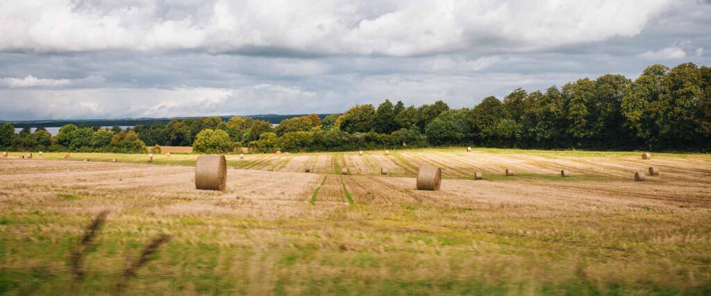 Agricultural - Estate Management - About Durrants